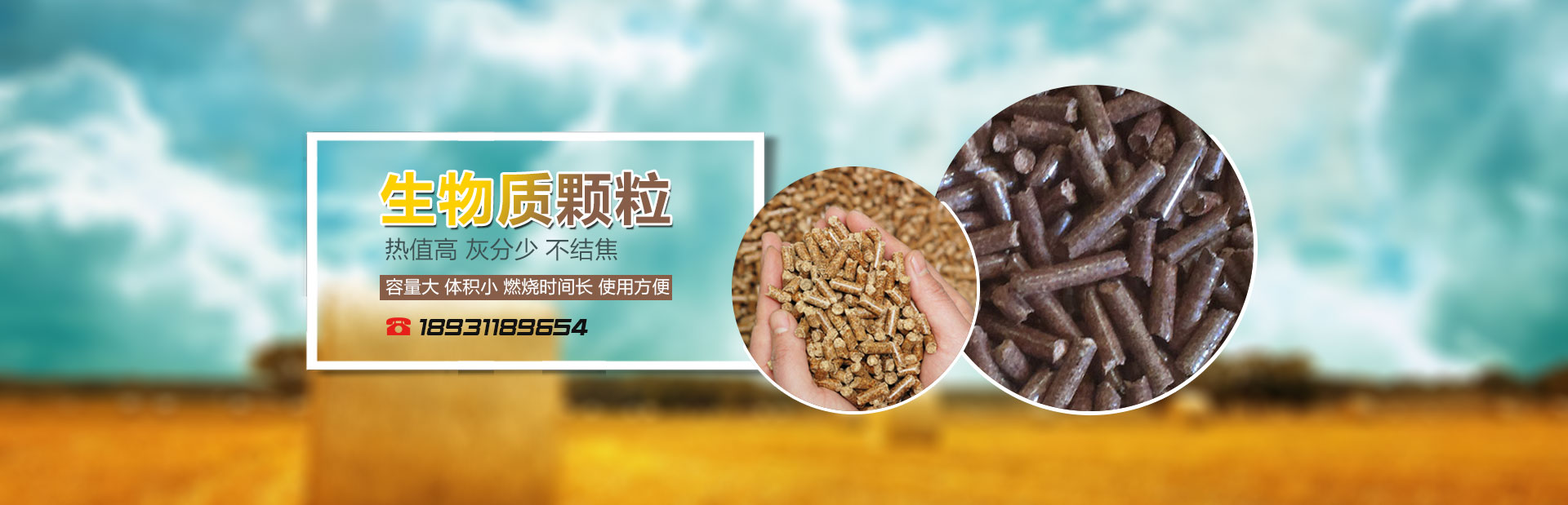 生物質(zhì)能源